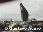 Photo by Gustavo Acero