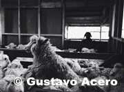 Photo by Gustavo Acero