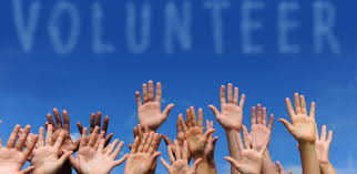 Volunteer