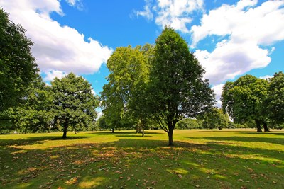 Hydepark