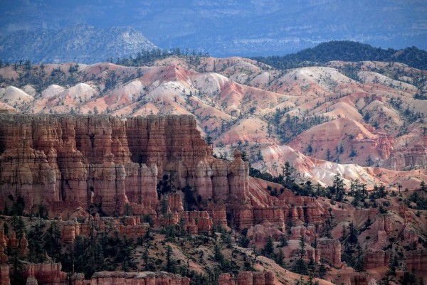 Bryce
