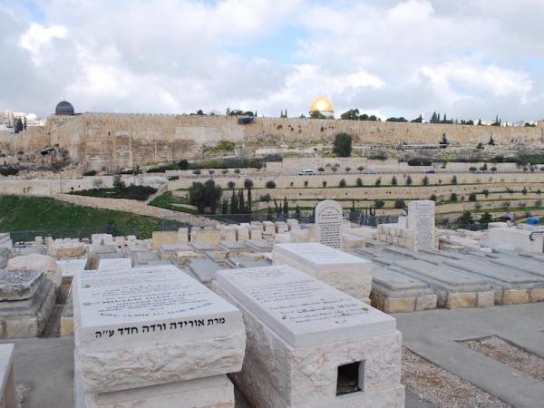 mount of olives