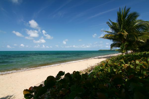almond beach belize wikimedia free