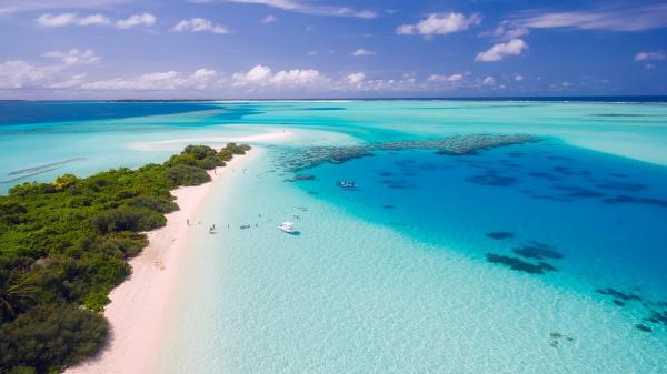 blue ocean